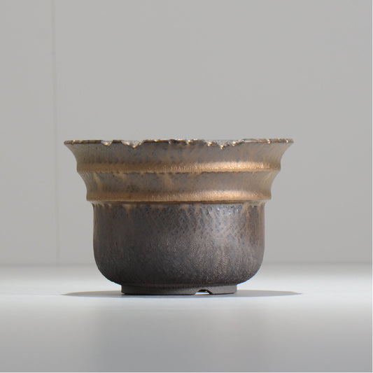 仲田唯希人 / LIZARD06_12 / 約φ14.2cm / 植木鉢