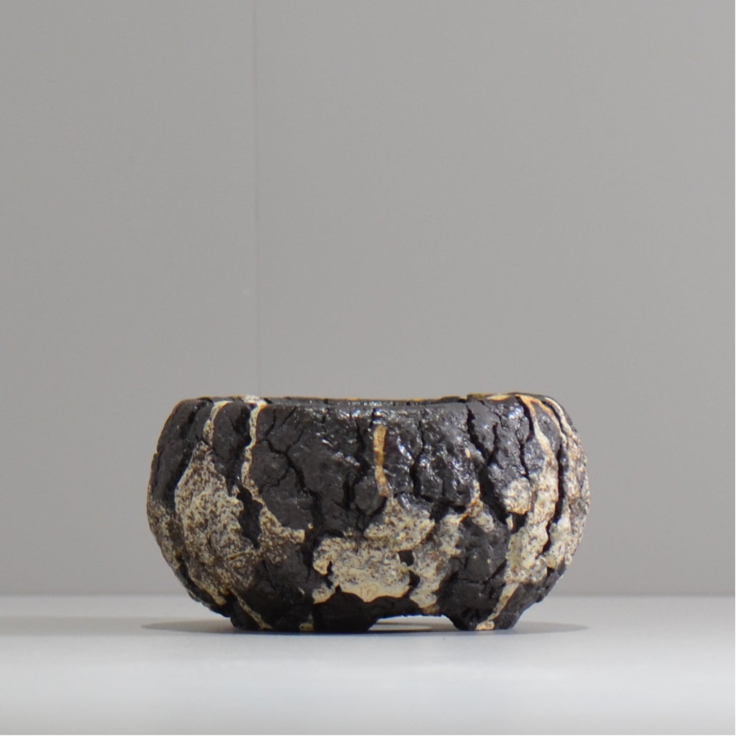 松井邦明 / 枯渇 / mk_ko01_s / 約 9.5cm / 植木鉢