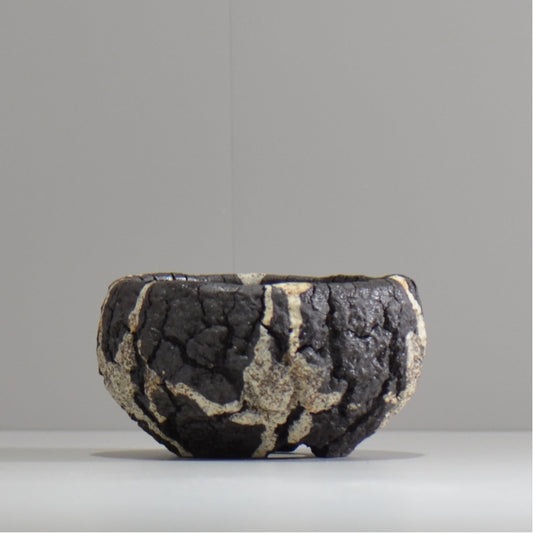 松井邦明 / 枯渇 / mk_ko02_s / 約 10cm / 植木鉢