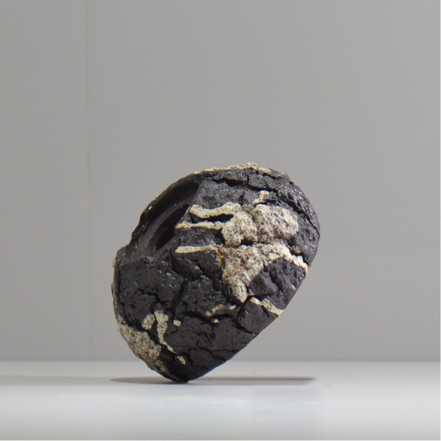 松井邦明 / 枯渇 / mk_ko02_s / 約 10cm / 植木鉢