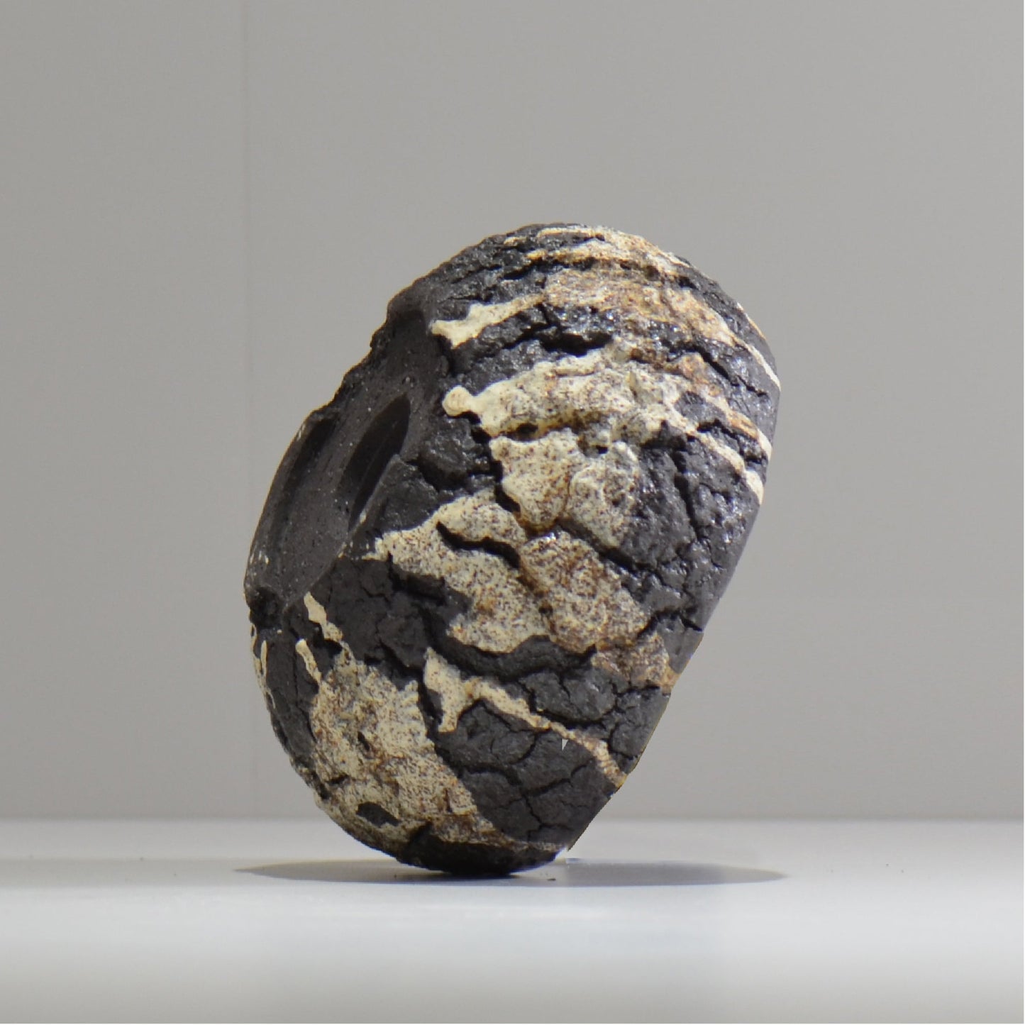 松井邦明 / 枯渇 / mk_ko05_s / 約 11.5cm / 植木鉢