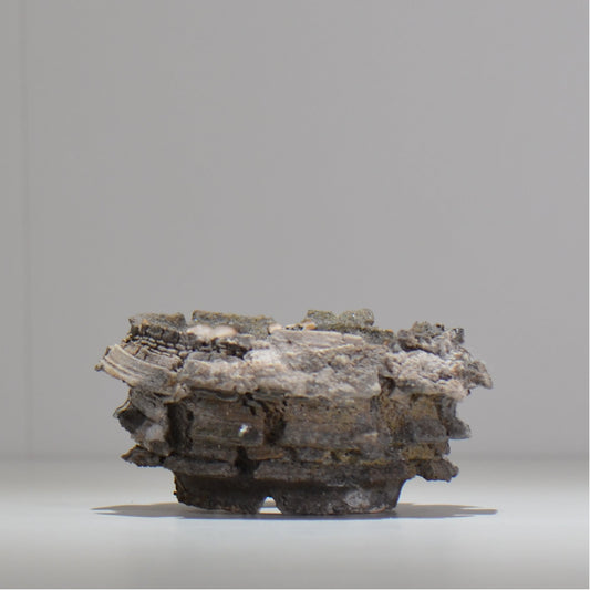 宮島將實 / mm2_ta18_s / 約 φ11cm / 植木鉢