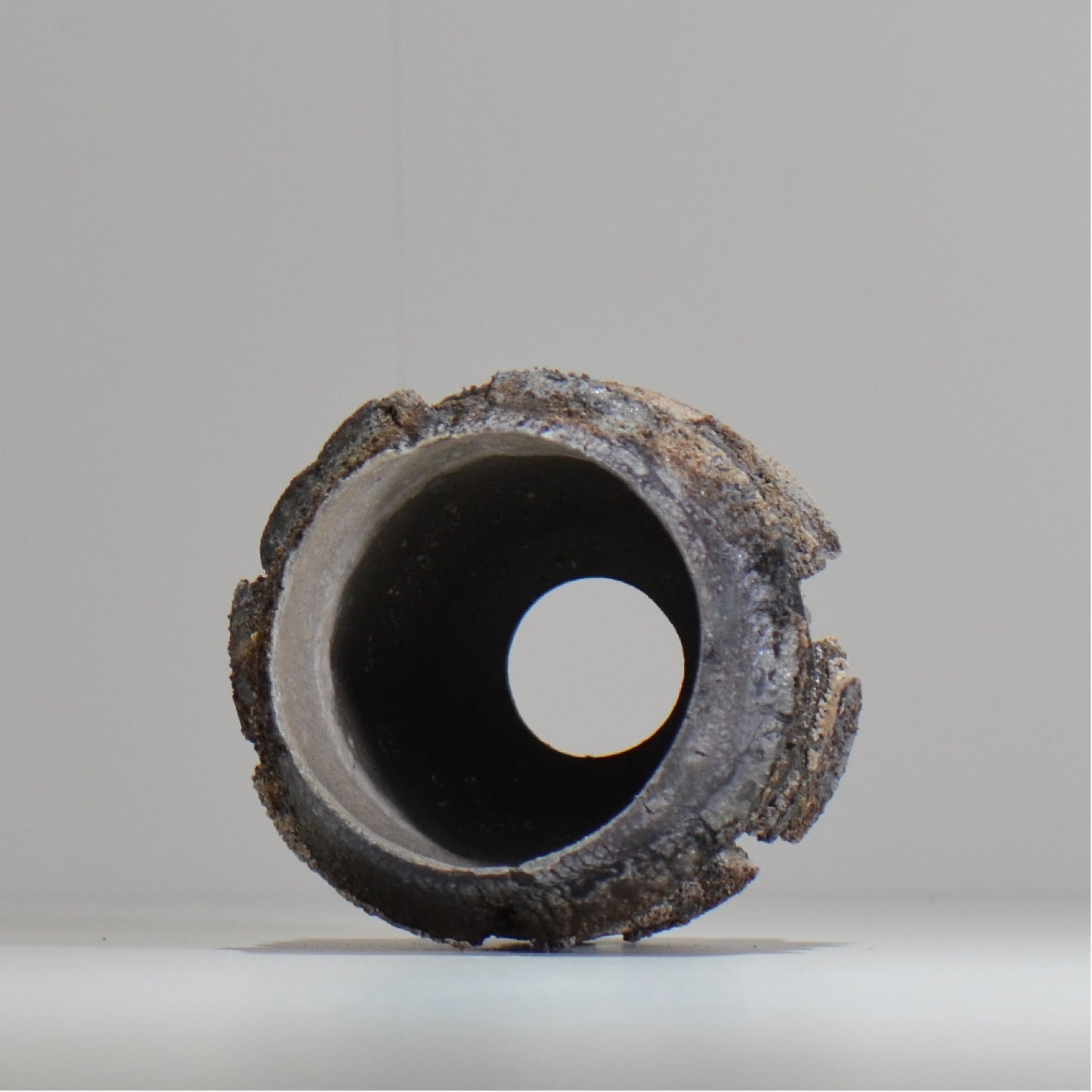 宮島將實 / mm_ta04_xs / 約 φ8cm / 植木鉢