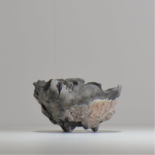 宮島將實 / mm_ta17_m / 約 φ13cm / 植木鉢