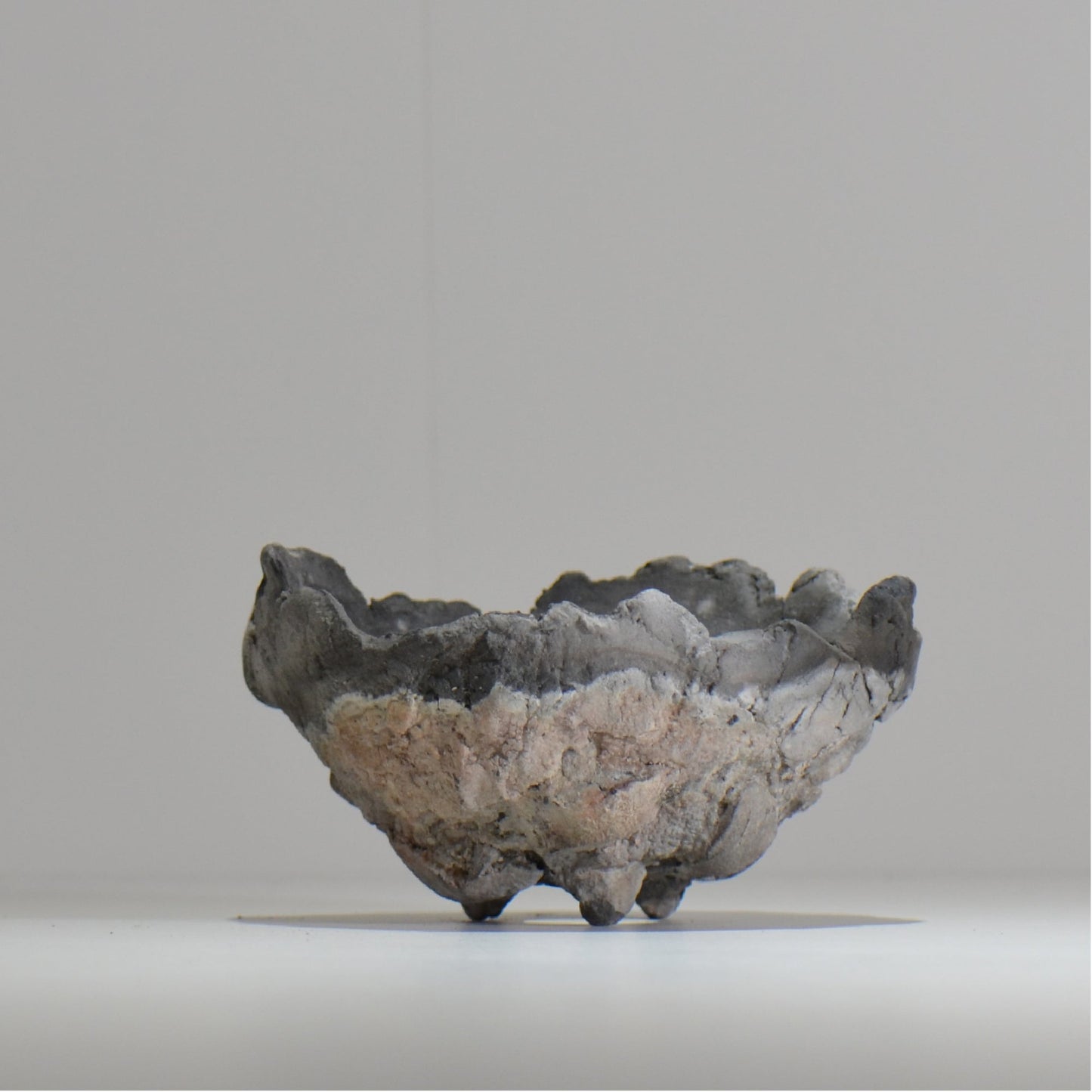 宮島將實 / mm_ta17_m / 約 φ13cm / 植木鉢