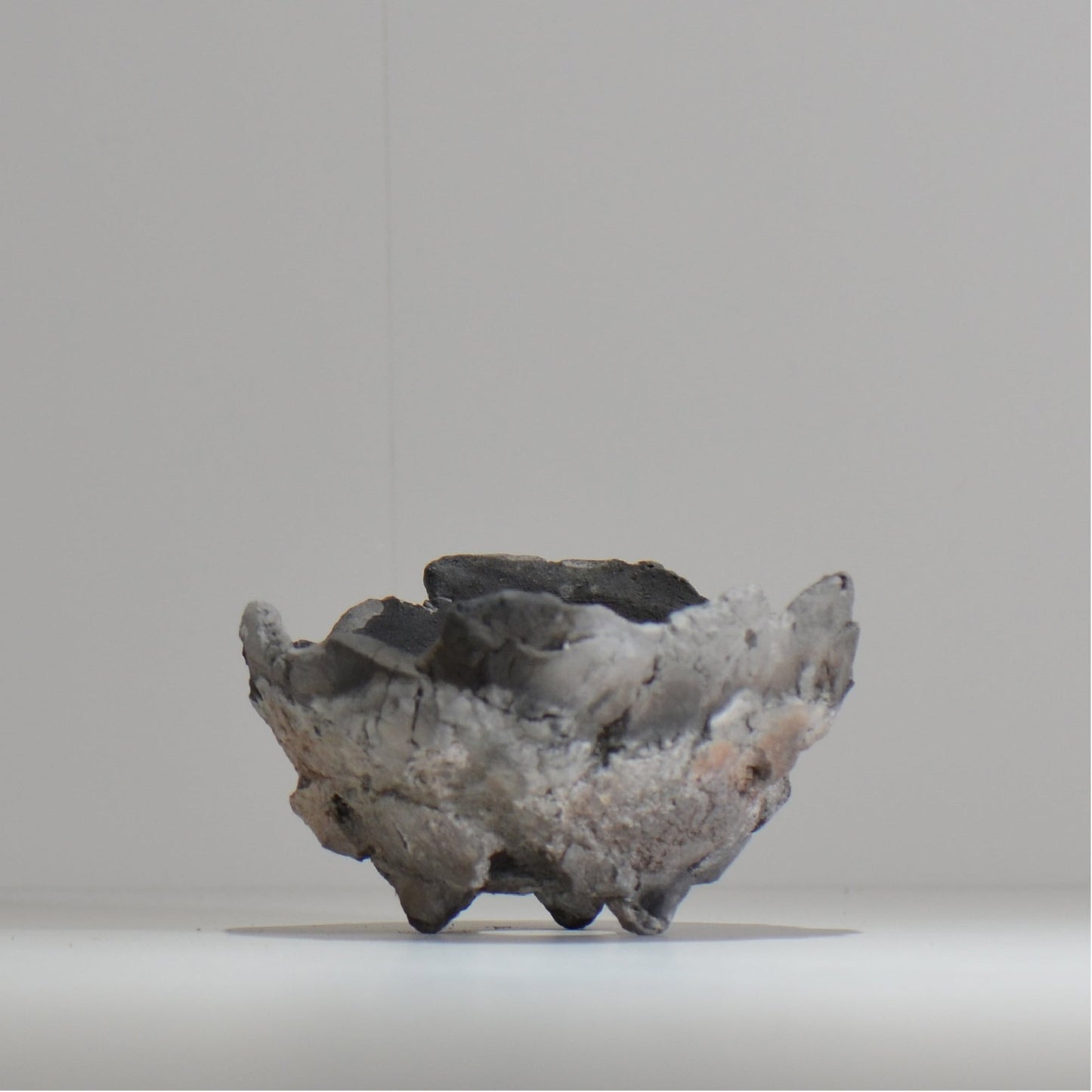 宮島將實 / mm_ta17_m / 約 φ13cm / 植木鉢