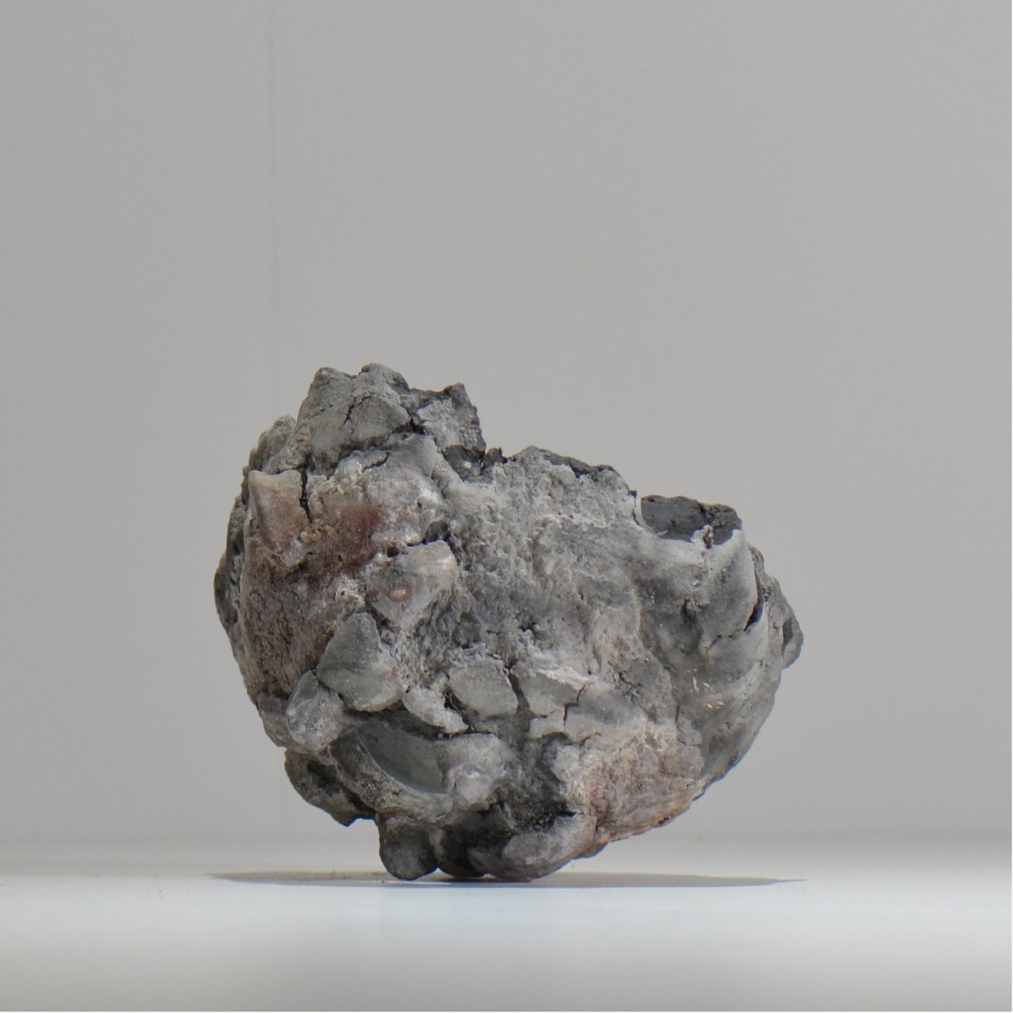 宮島將實 / mm_ta17_m / 約 φ13cm / 植木鉢
