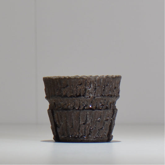 沼野秀章 / XS / nh2_bw01_xs/ 約 φ7cm / 植木鉢