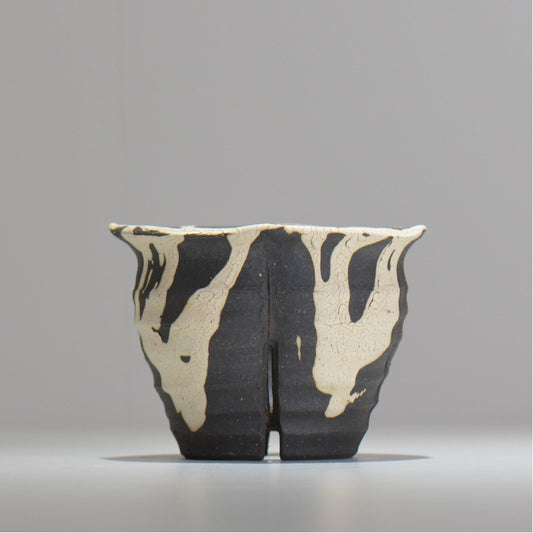 沼野 秀章 / 黒二白 / M / nh2_bwh09_m/ 約φ12.5cm / 植木鉢