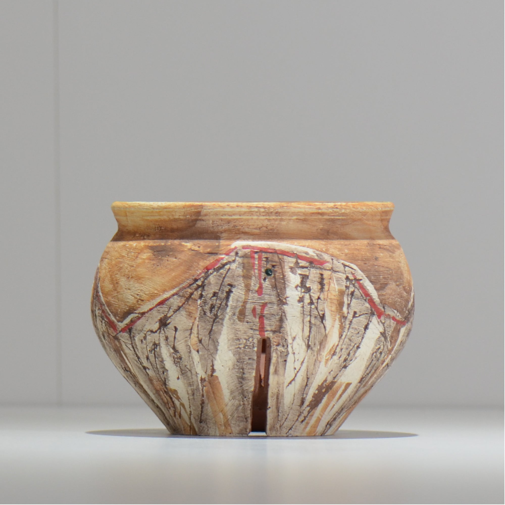 沼野秀章 / 刻ム音 / 5号　新品未使用　アガベ　グラキリス 沼野秀章 / 刻ム音 / 5号 新品未使用 アガベ グラキリス - メルカリ