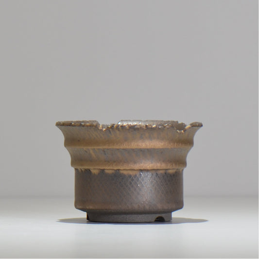 仲田唯希人 / ny_lzd05_s / 約 φ11cm / 植木鉢