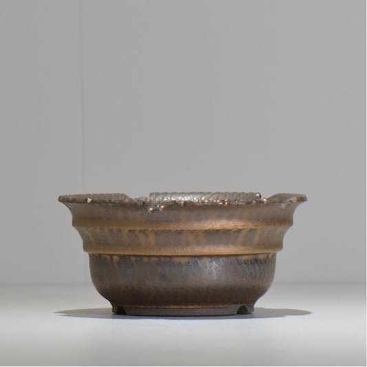 仲田唯希人 / ny_lzd19_l / 約 φ16cm / 植木鉢