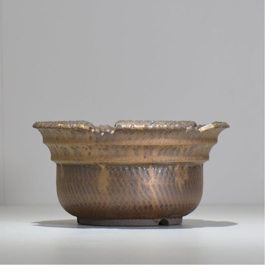 仲田唯希人 / ny_lzd31_xl / 約 φ20cm / 植木鉢