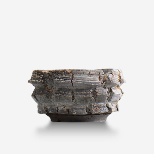 宮島將實 / POMPEI 001 / M / 約 φ12.5cm / 植木鉢