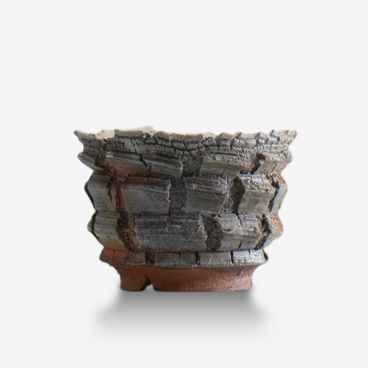 宮島將實 / POMPEI 005 / M / 約 φ13cm / 植木鉢