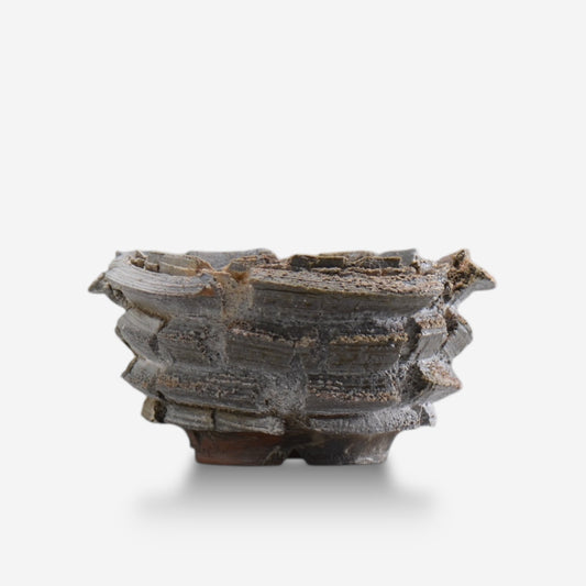 宮島將實 / POMPEI 013 / L / 約 φ13.5cm / 植木鉢