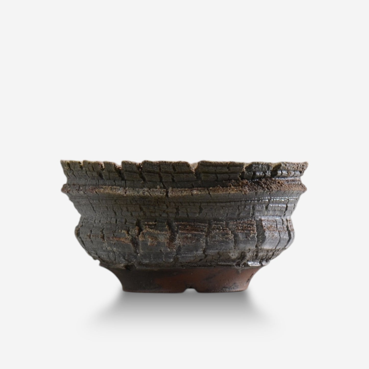 宮島將實 / POMPEI 014 / L / 約 φ16cm / 植木鉢