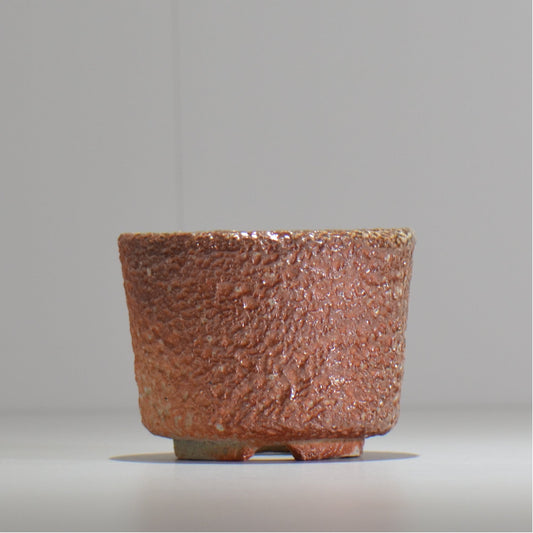 坂尾寛子 / 礁 / 約φ11cm / sh_an03_s / 植木鉢