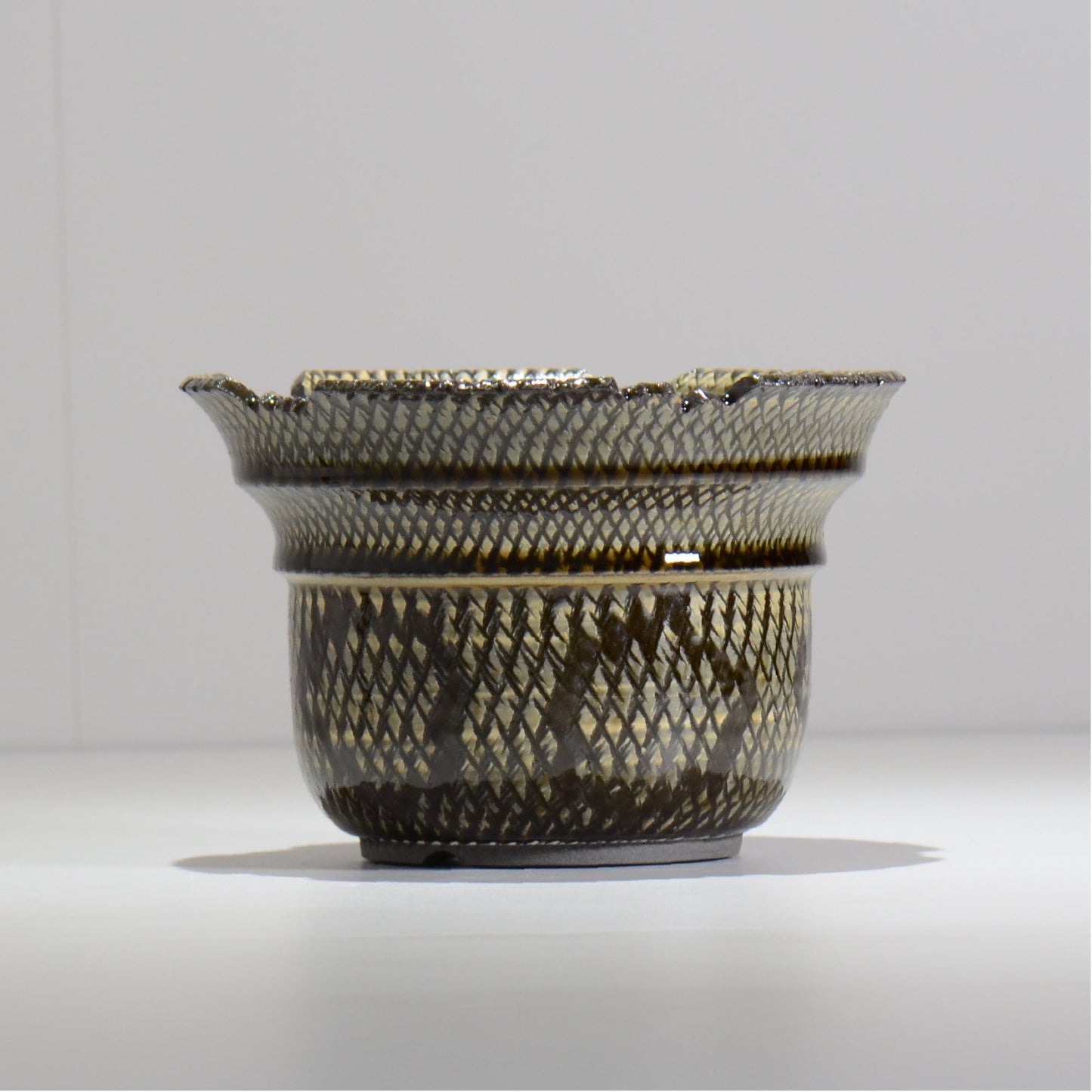 仲田唯希人 / SNAKE02 21/ 約φ17.3cm / 植木鉢