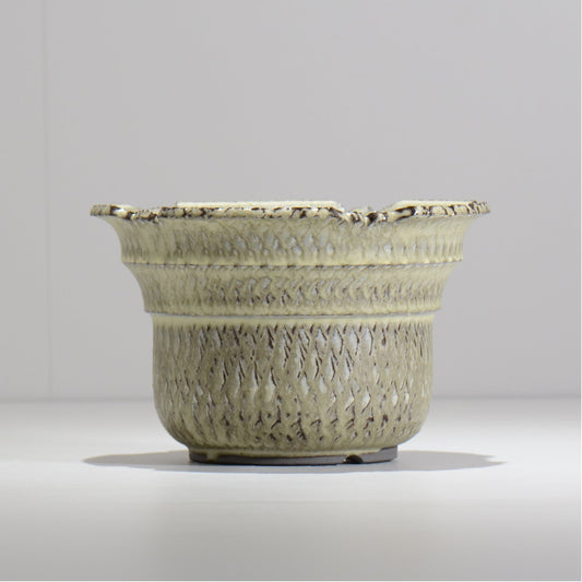 仲田唯希人 / SNAKE02 26/ 約φ18cm / 植木鉢