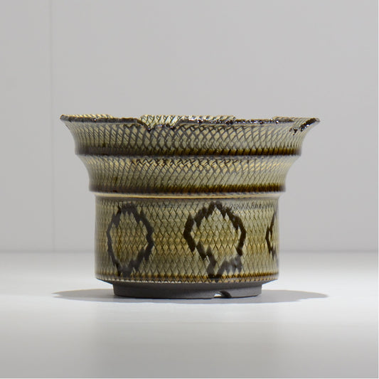 仲田唯希人 / SNAKE02 29/ 約φ17cm / 植木鉢