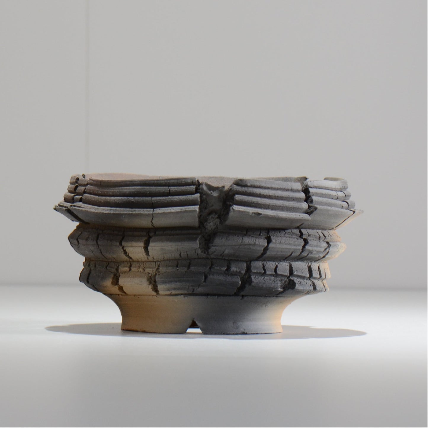 宮島將實 / TANNEN 158 / L / 約 φ15.5cm / 植木鉢