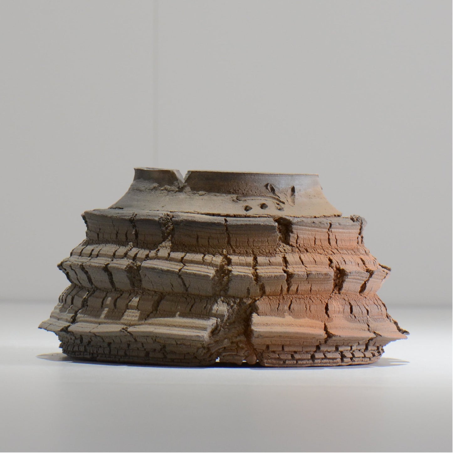 宮島將實 / TANNEN 159 / L / 約 φ15cm / 植木鉢
