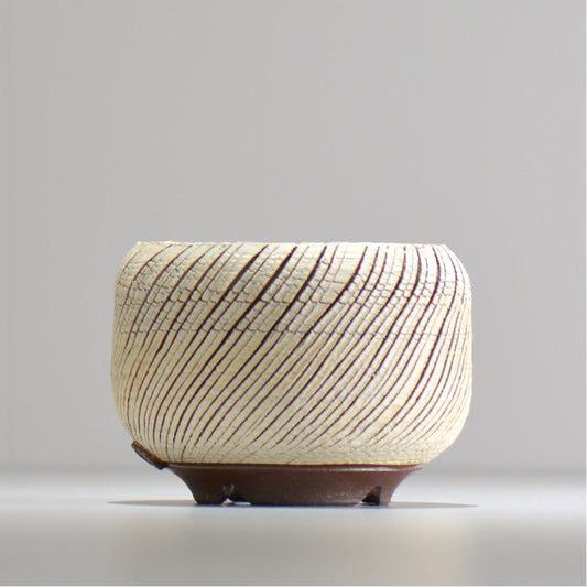 陶房Kibi / シュレッド/tksh_04_s / 約 φ10cm / 植木鉢