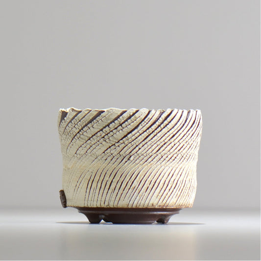 陶房Kibi / シュレッド/tksh_07_s / 約 φ9.8cm / 植木鉢