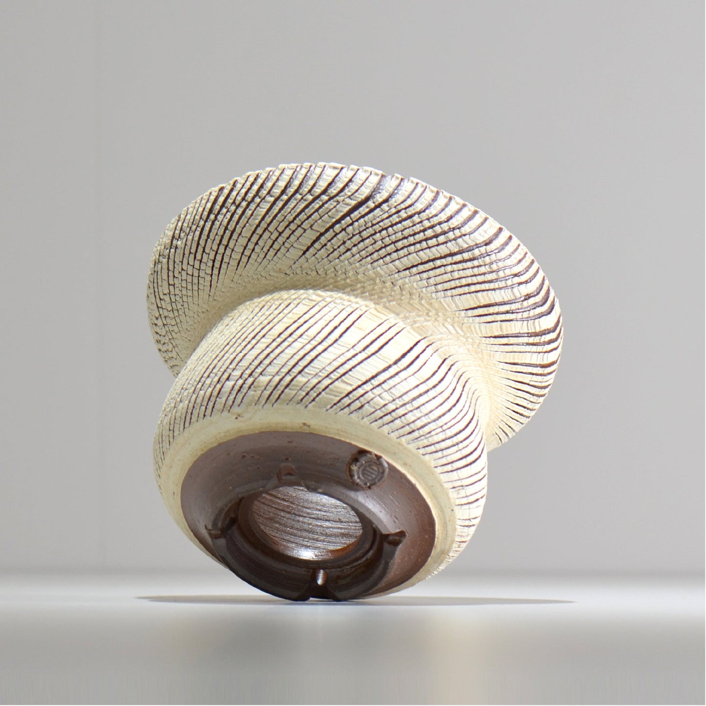 陶房Kibi / シュレッド/tksh_17_l / 約 φ15.5cm / 植木鉢