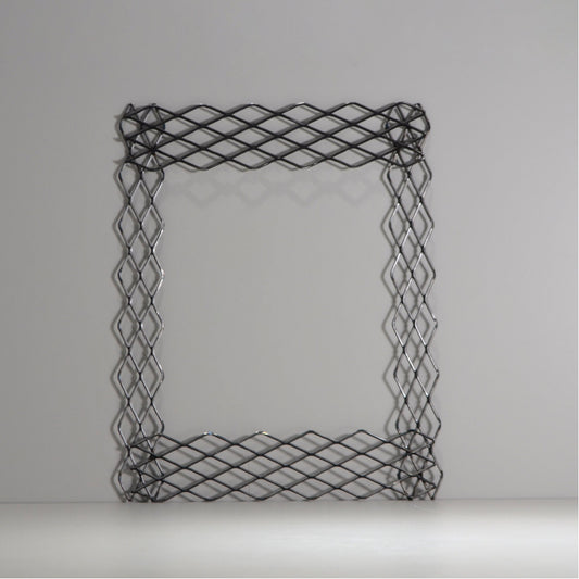 植田屋×鉄 / ビカクシダ アイアンフレーム / ut_01_xl / W31.7cm × H40.5cm / ビカクシダ額