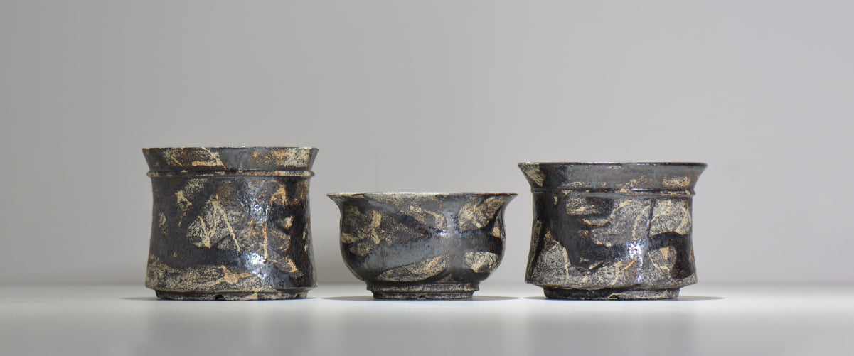 塊根植物・観葉植物の植木鉢専門店 「HACHILABO - ハチラボ- 」