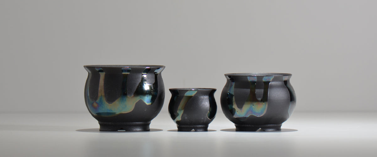 塊根植物・観葉植物の植木鉢専門店 「HACHILABO - ハチラボ- 」