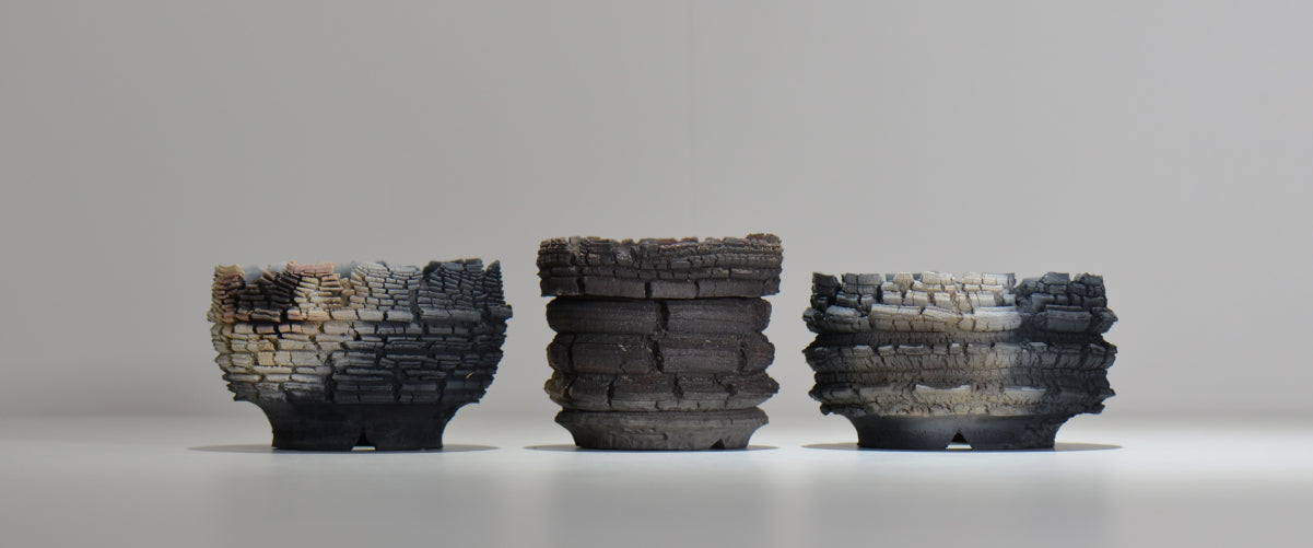 塊根植物・観葉植物の植木鉢専門店 「HACHILABO - ハチラボ- 」