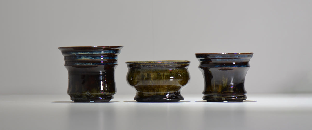 塊根植物・観葉植物の植木鉢専門店 「HACHILABO - ハチラボ- 」