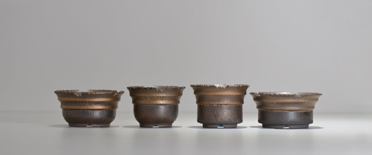 HACHILABO - A store specializing in tuberous plants, ornamental