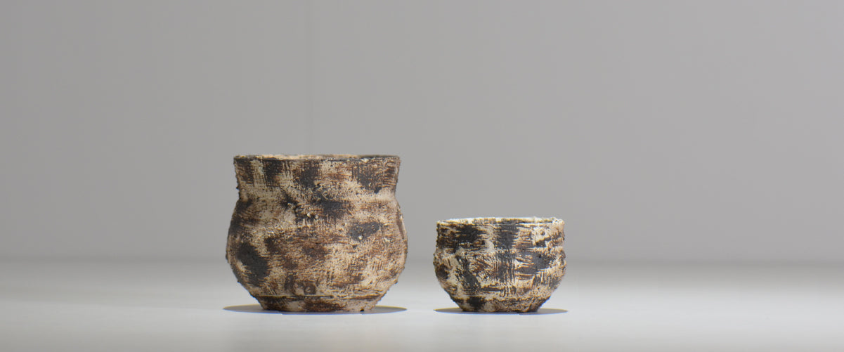 塊根植物・観葉植物の植木鉢専門店 「HACHILABO - ハチラボ- 」