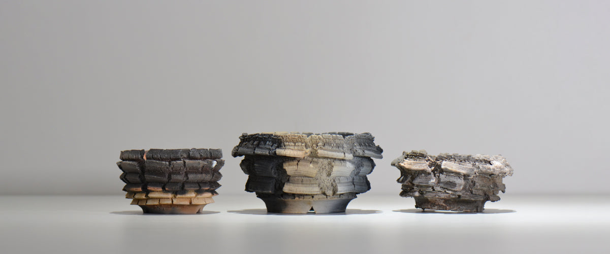 塊根植物・観葉植物の植木鉢専門店 「HACHILABO - ハチラボ- 」