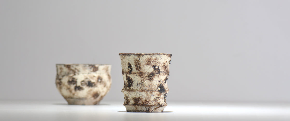 塊根植物・観葉植物の植木鉢専門店 「HACHILABO - ハチラボ- 」