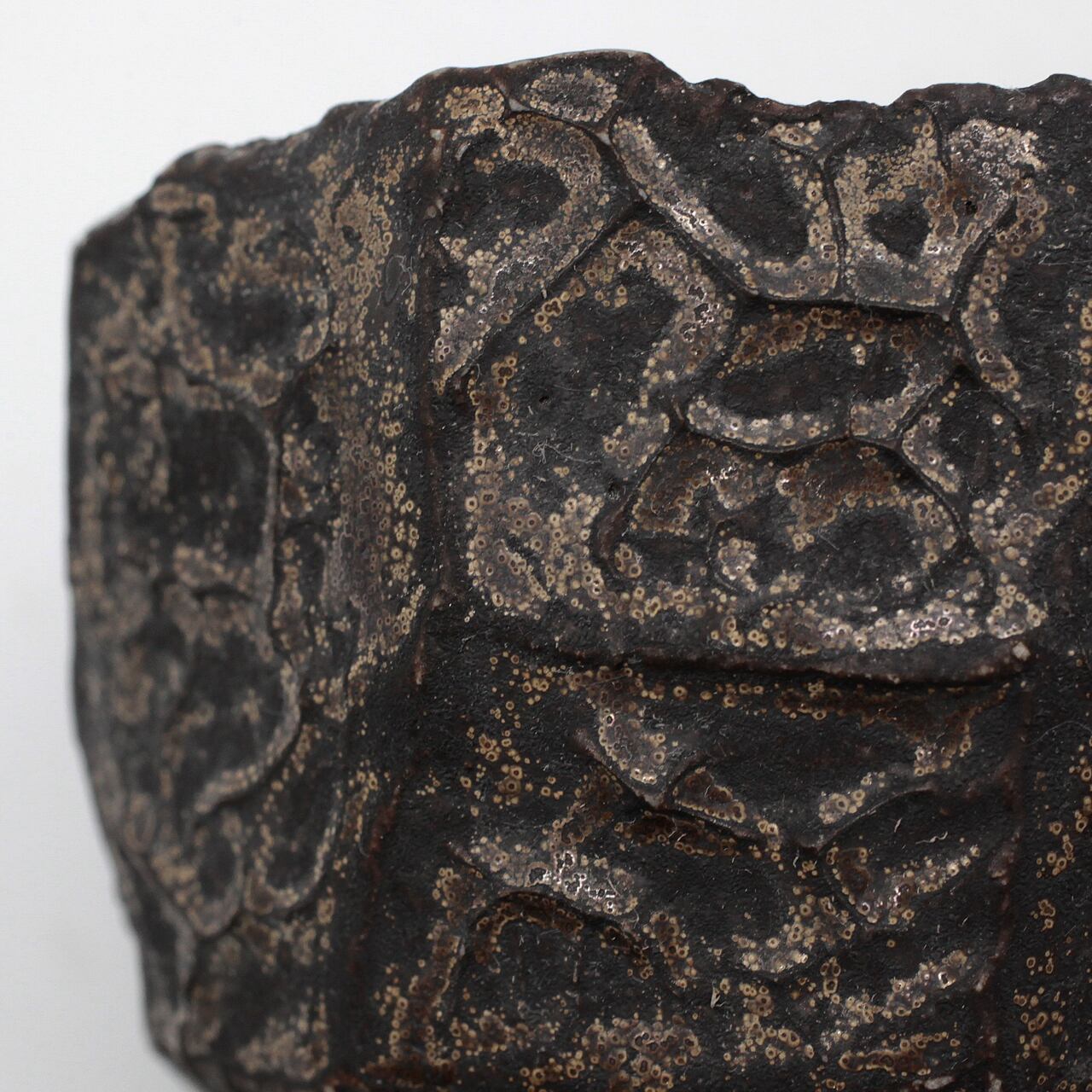 菊地元野 / CUTTY B CUP/Sサイズ