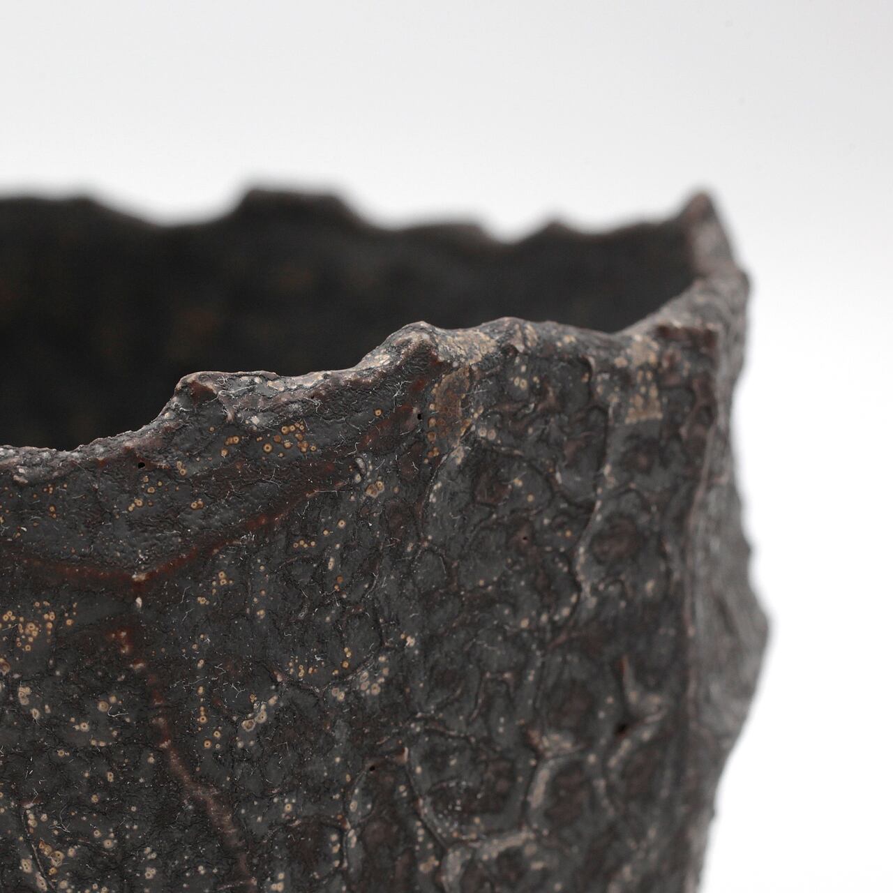 菊地元野 / CUTTY B CUP/Lサイズ