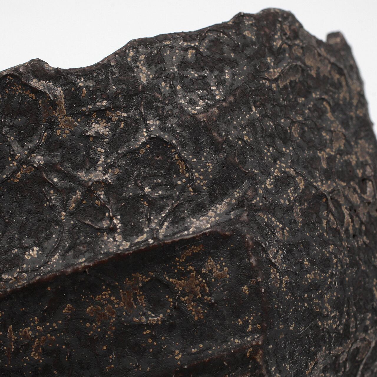 菊地元野 / CUTTY B CUP/Lサイズ