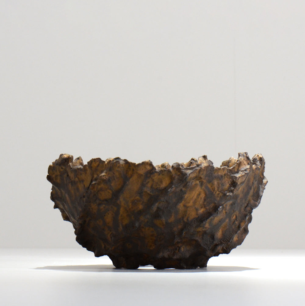 16.木村 貴史 / DEISAI bronze /  bronze_01_big  / 大鉢 /  約 φ21cm / 植木鉢