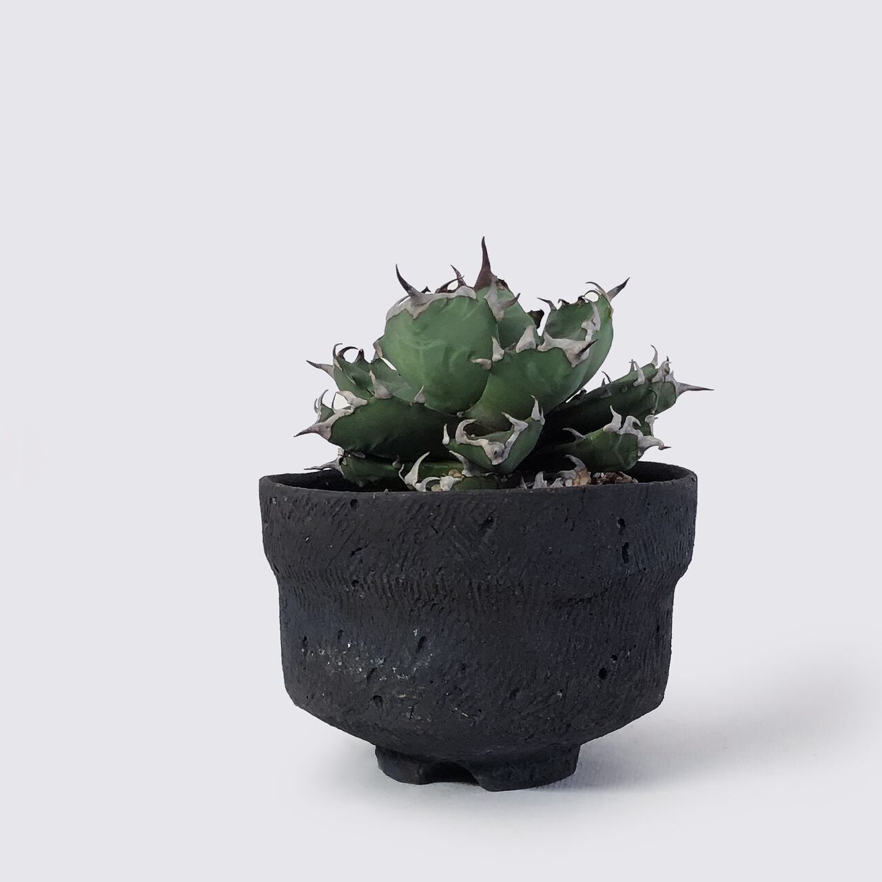 香合 黒倶利 彫刻模 町村勝己 / KUROGOMA - VASE SSサイズ – ハチラボ