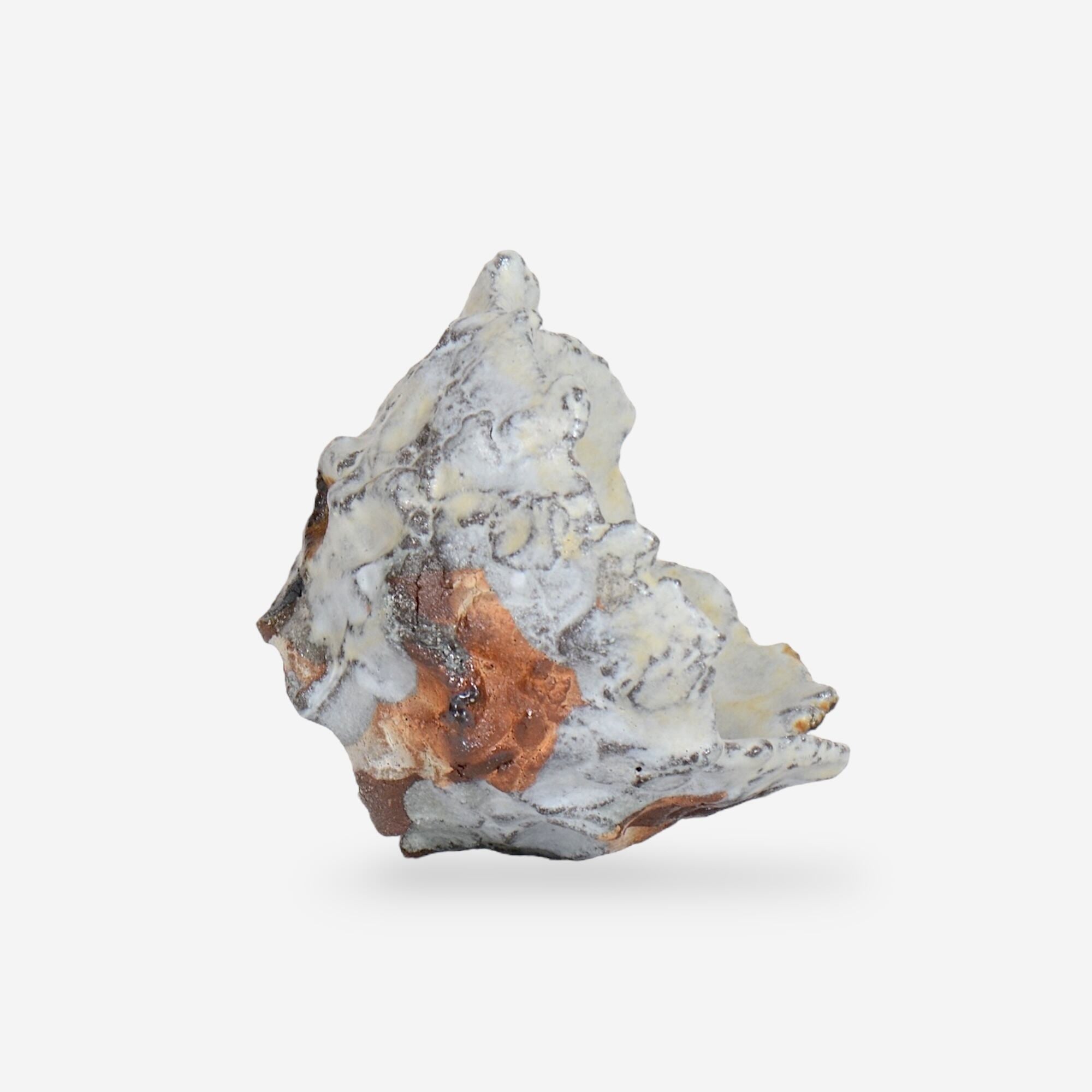 木村 貴史 / SHIOSAI_WR008 /  約 φ12cm /  植木鉢