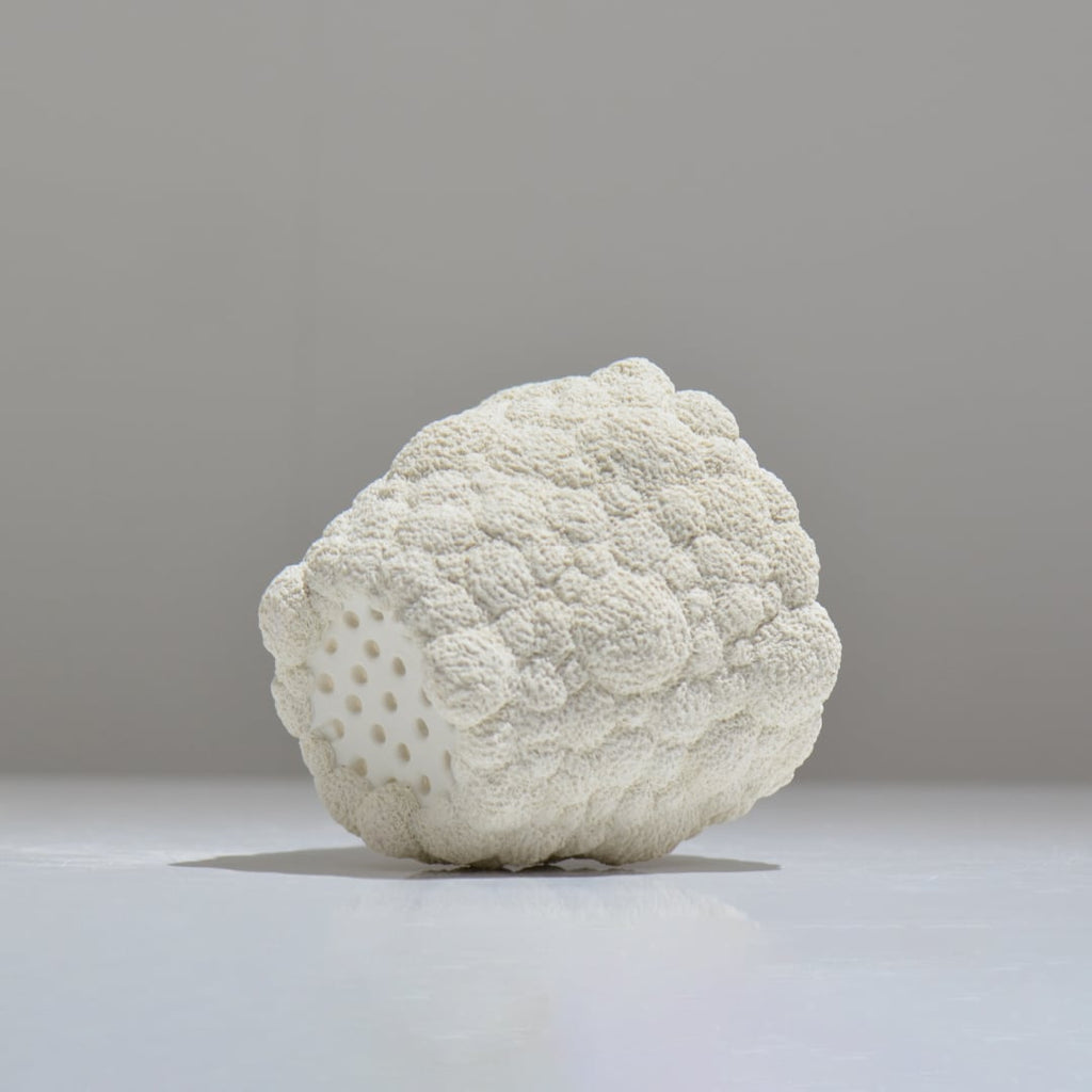 陶芸家イカンソク / ik_005 / 約φ11cm / 植木鉢