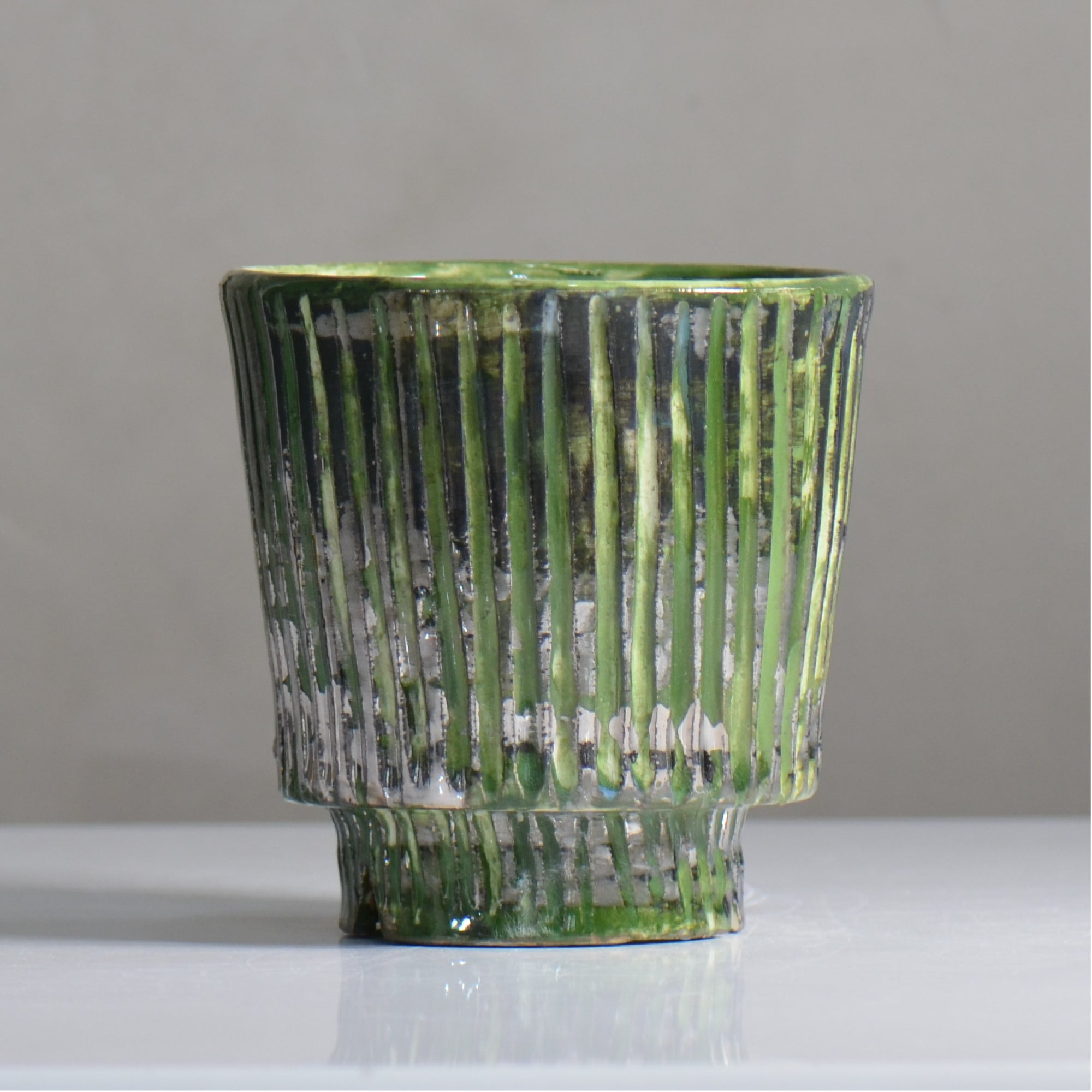 塊根植物・観葉植物の植木鉢専門店 「HACHILABO - ハチラボ- 」