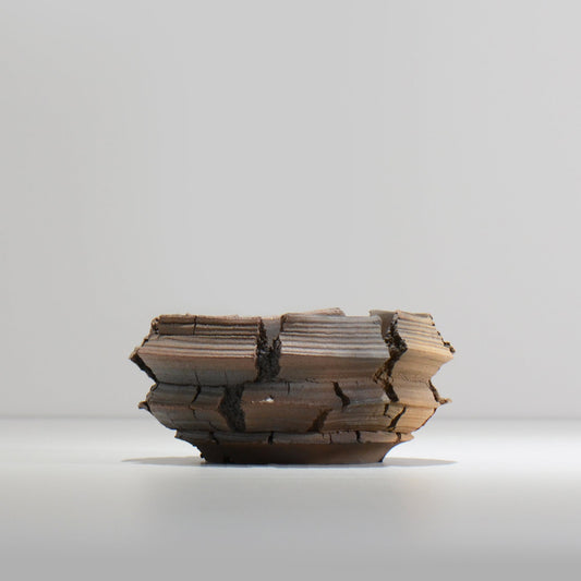 宮島將實 / TANNEN 171 / M / 約 φ13.5cm  / 植木鉢