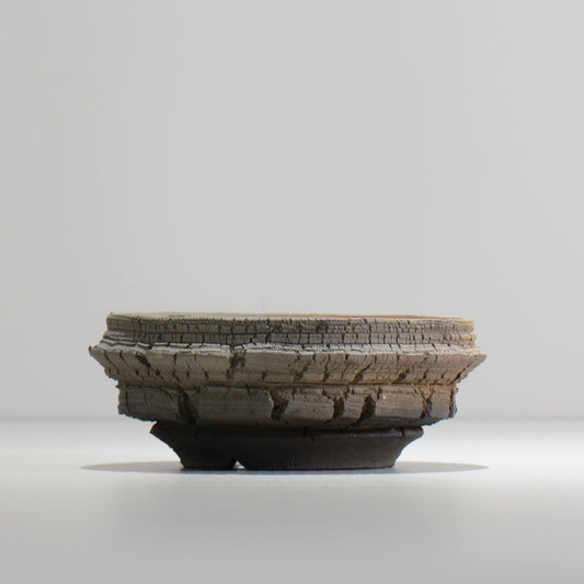 宮島將實 / TANNEN 175 / L / 約 φ16cm  / 植木鉢