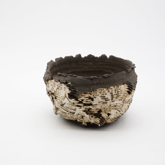 菊地元野 / DANSOU two-tone 10